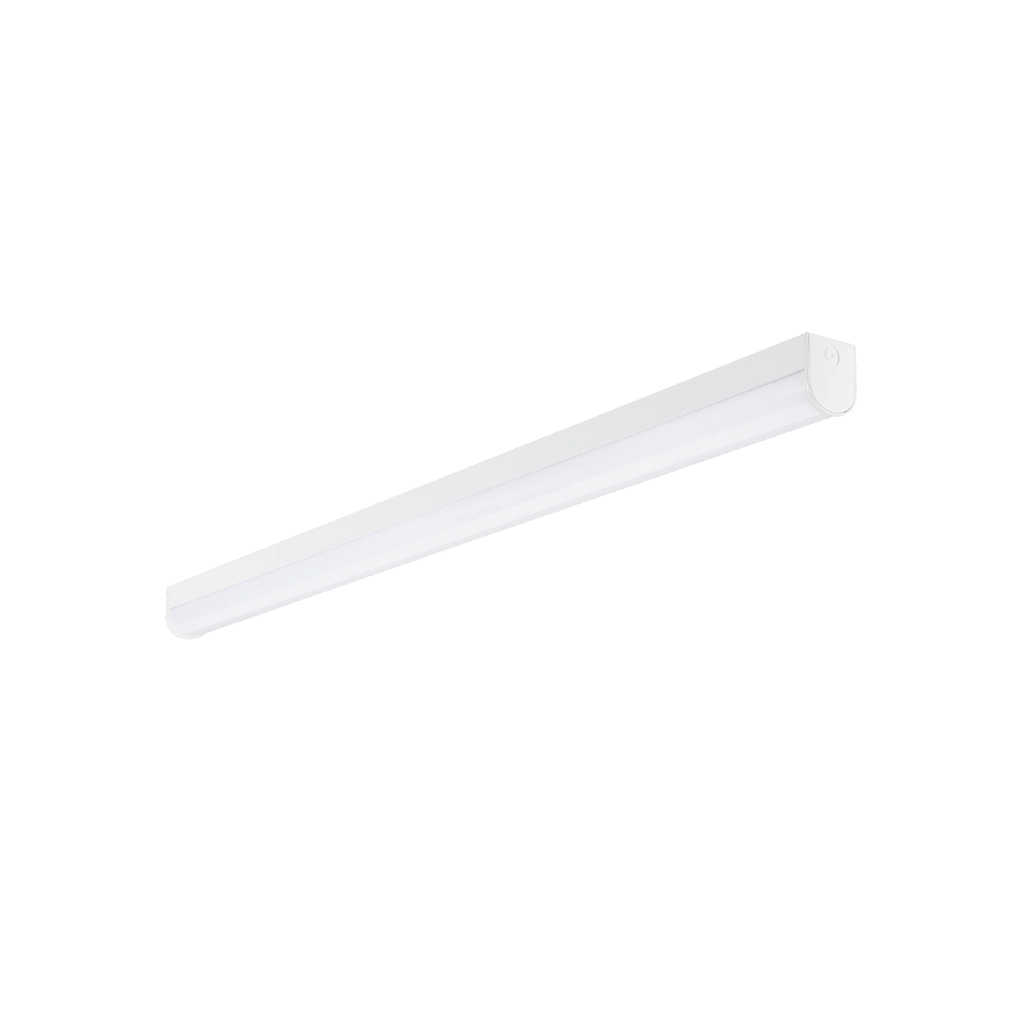 QUANTUM - Image 3