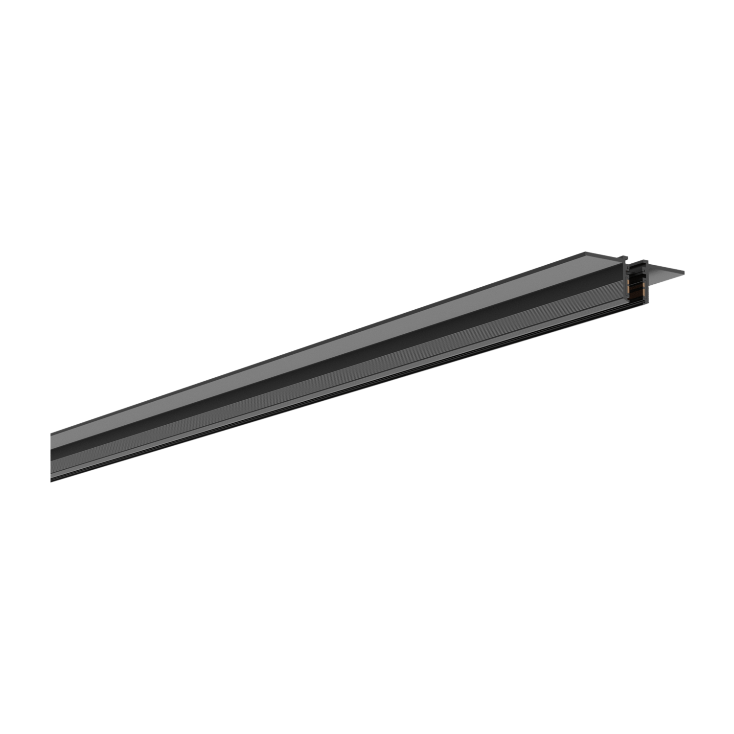 ROSE - Image 7