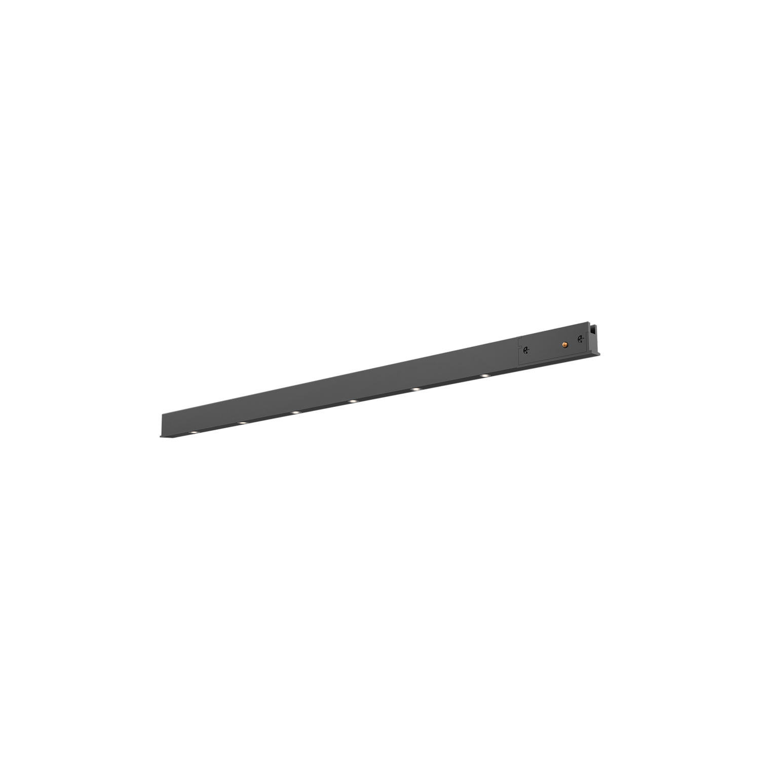 ROSE - Image 8
