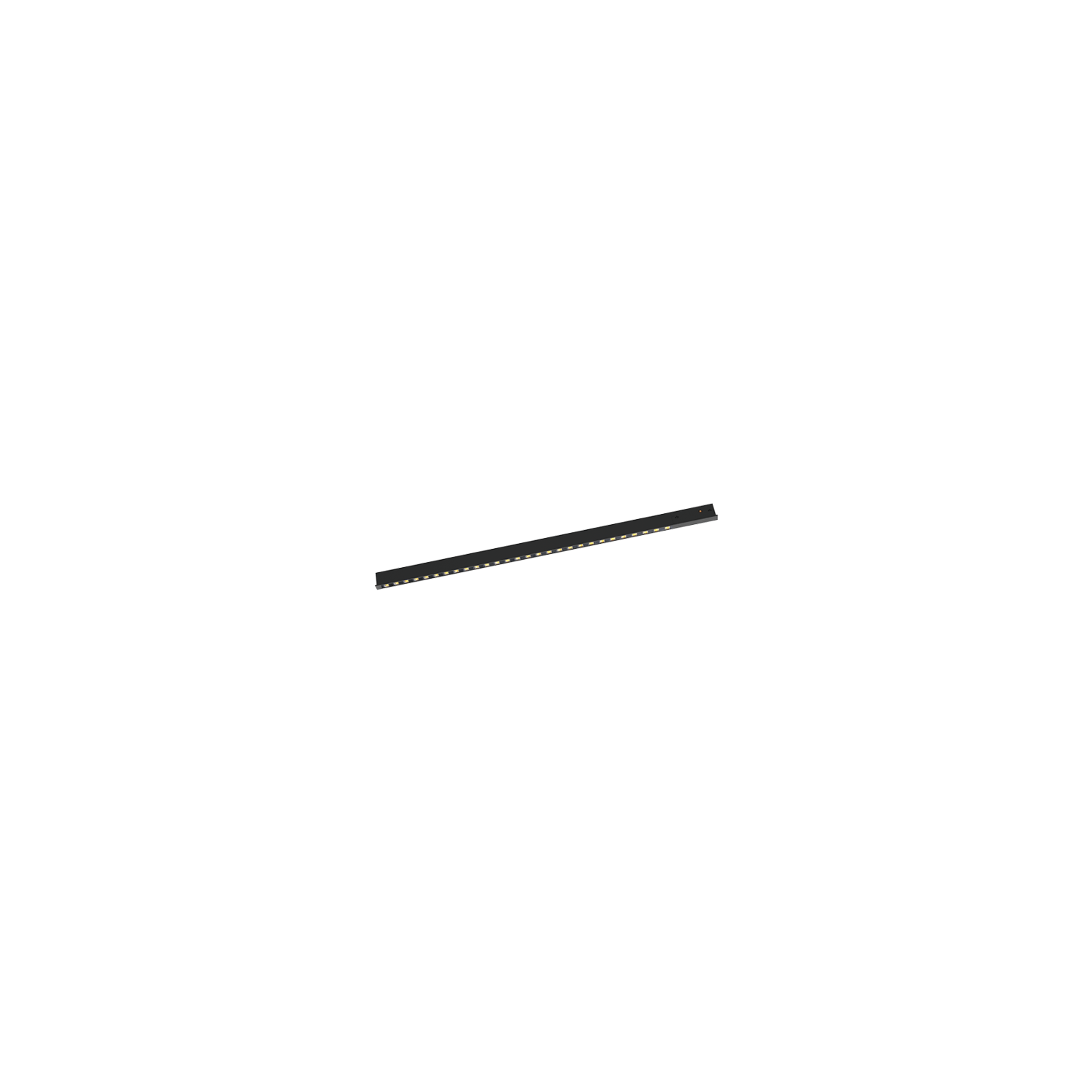 ROSE - Image 10