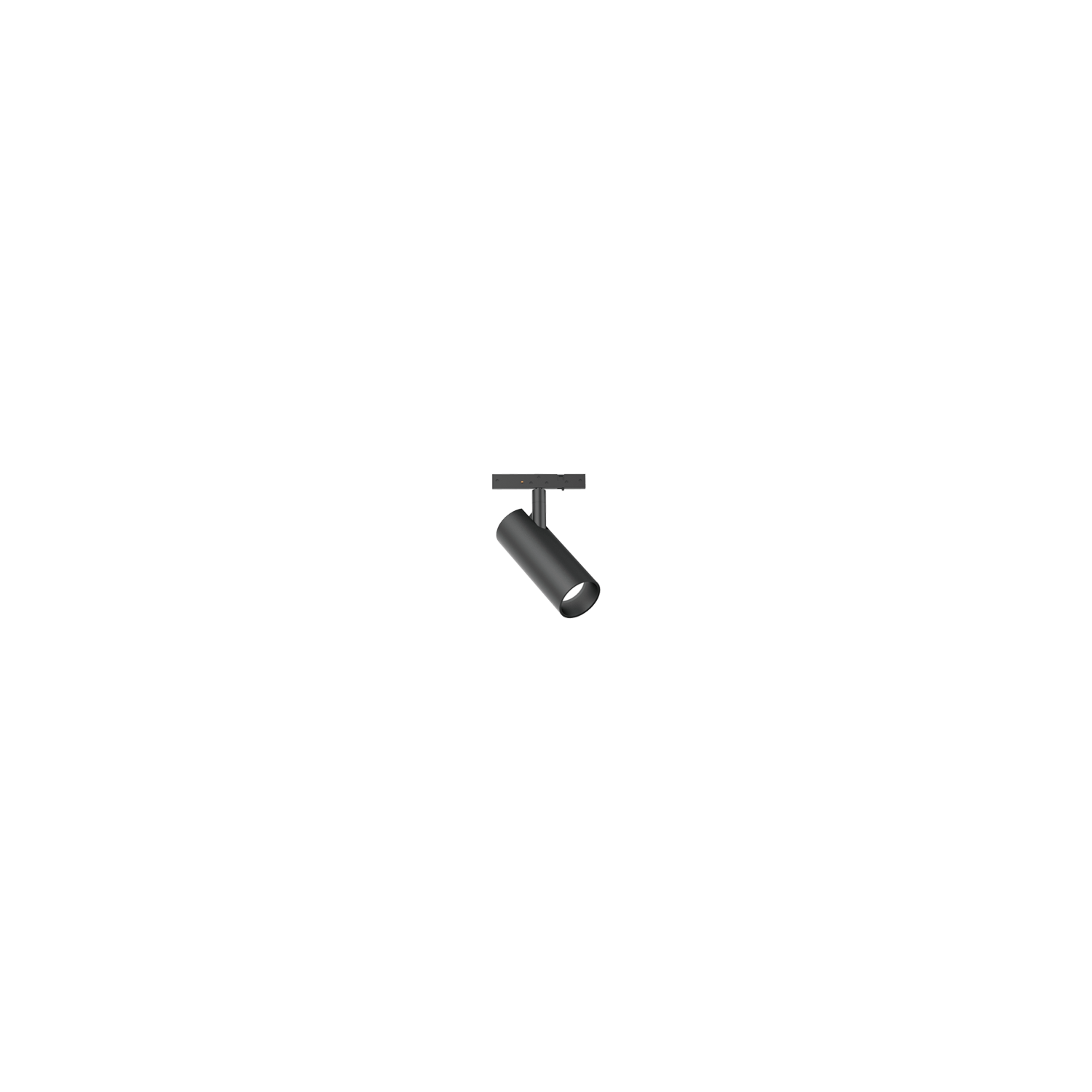 ROSE - Image 11