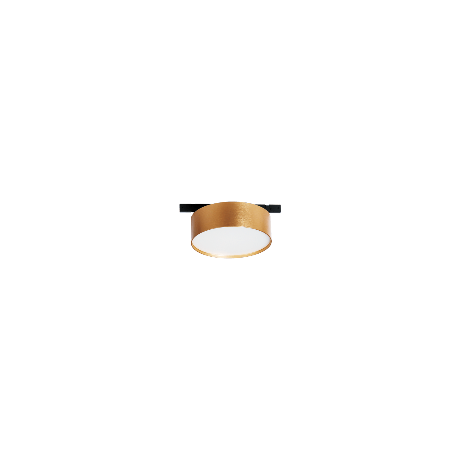 ROSE - Image 13